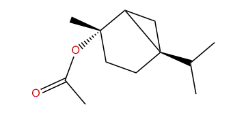 trans-5-Isopropyl-2-methylbicyclo[3.1.0]hexan-2-yl acetate